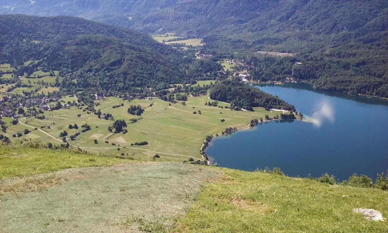 Apartma Pri Bregarju Bohinj Esterno foto