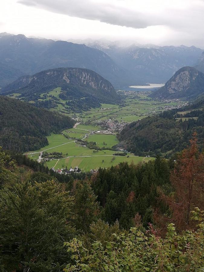 Apartma Pri Bregarju Bohinj Esterno foto