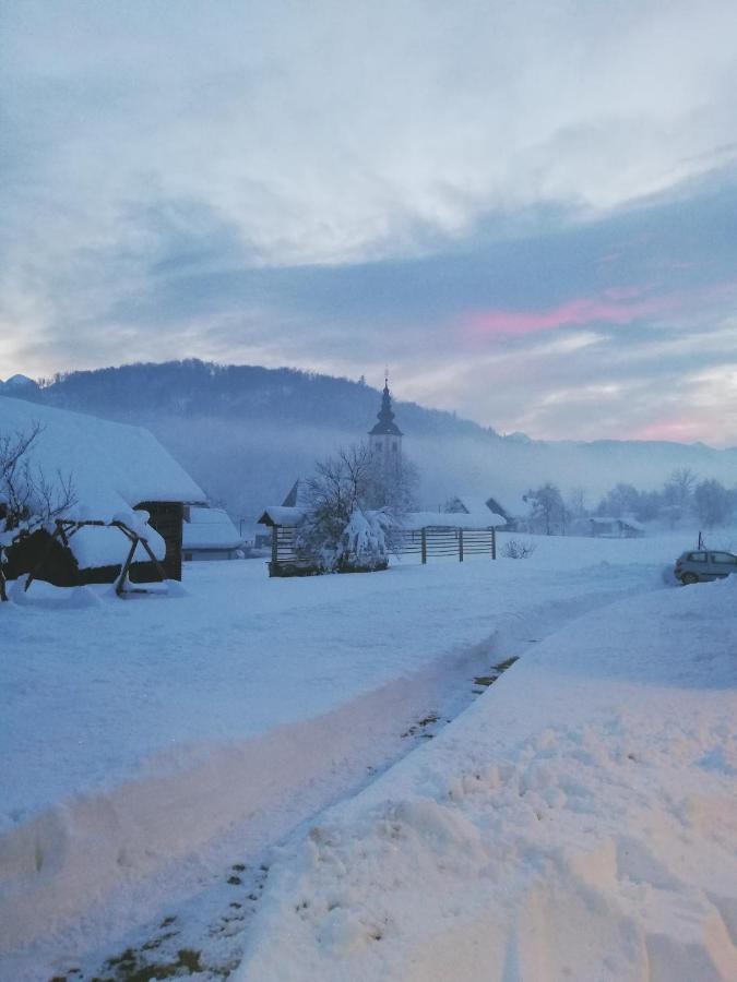 Apartma Pri Bregarju Bohinj Esterno foto