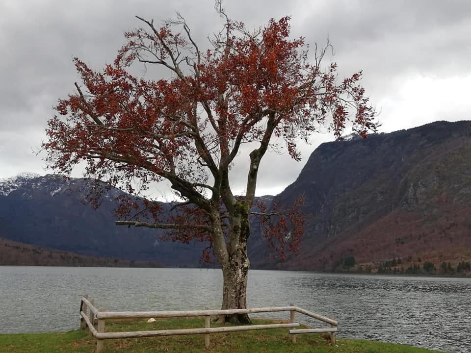 Apartma Pri Bregarju Bohinj Esterno foto