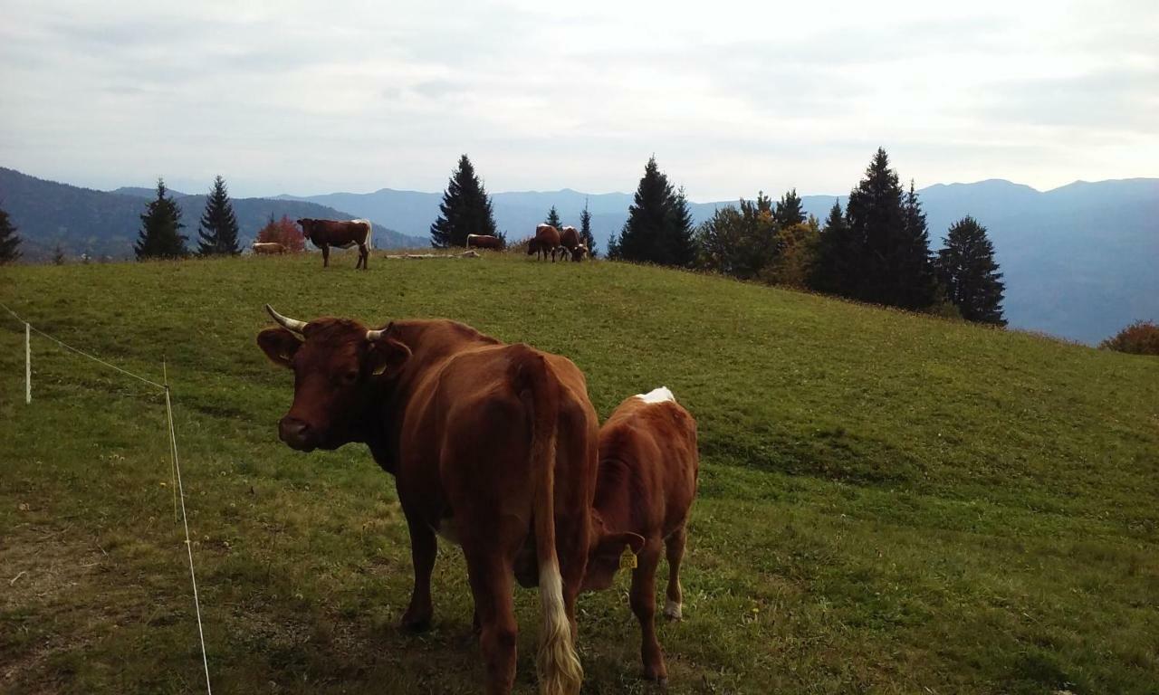 Apartma Pri Bregarju Bohinj Esterno foto