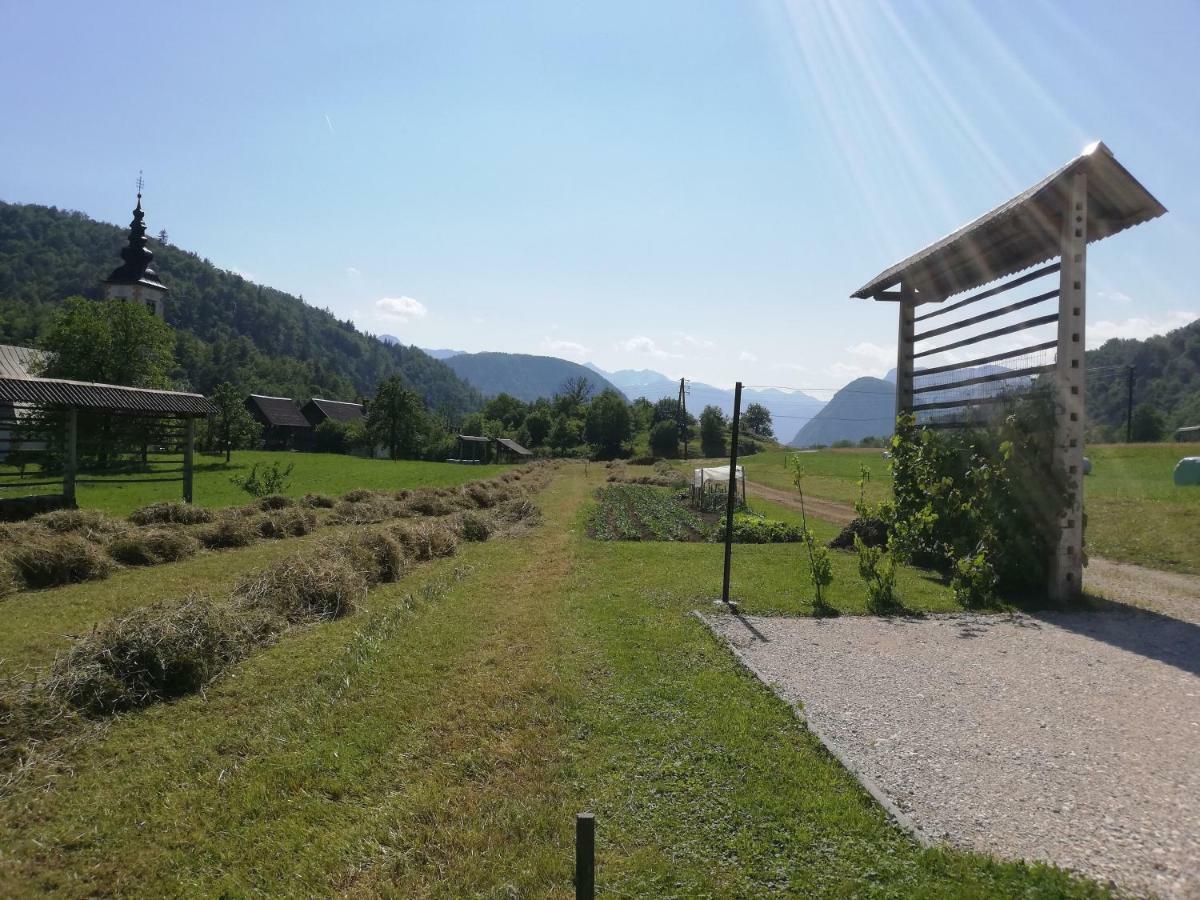 Apartma Pri Bregarju Bohinj Esterno foto